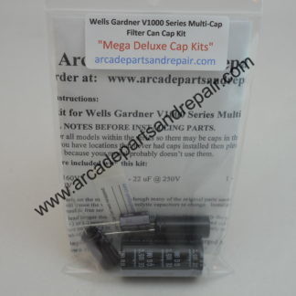Wells Gardner V1000 C101 B+ Filter Cap Can Kit 105C Nichicon