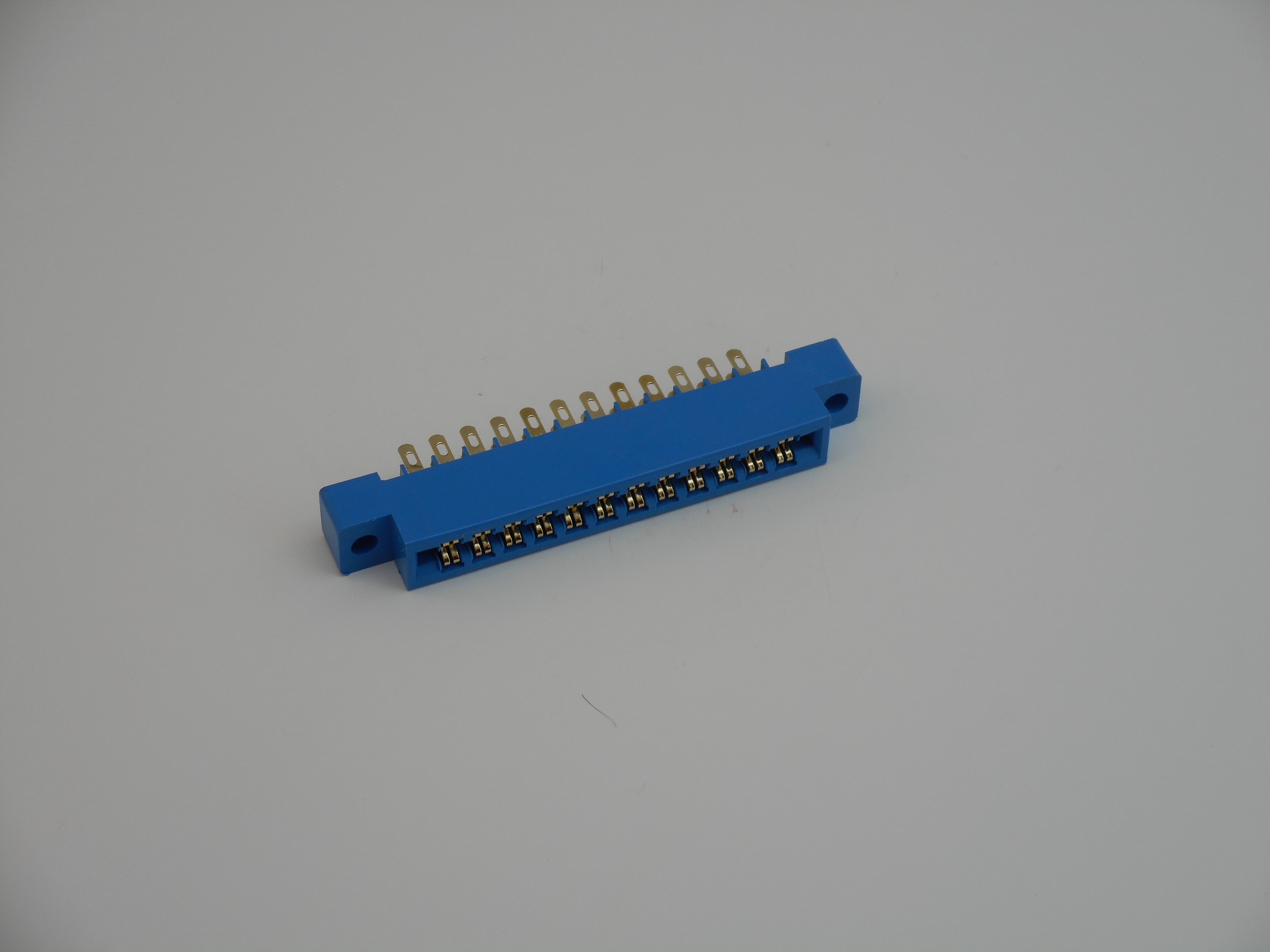 24-Pin Edge Connector W/Solder Eyelet Leads (EC1002)