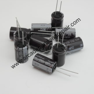 100uF 250V 105C Nichicon or Panasonic (10 Pack)